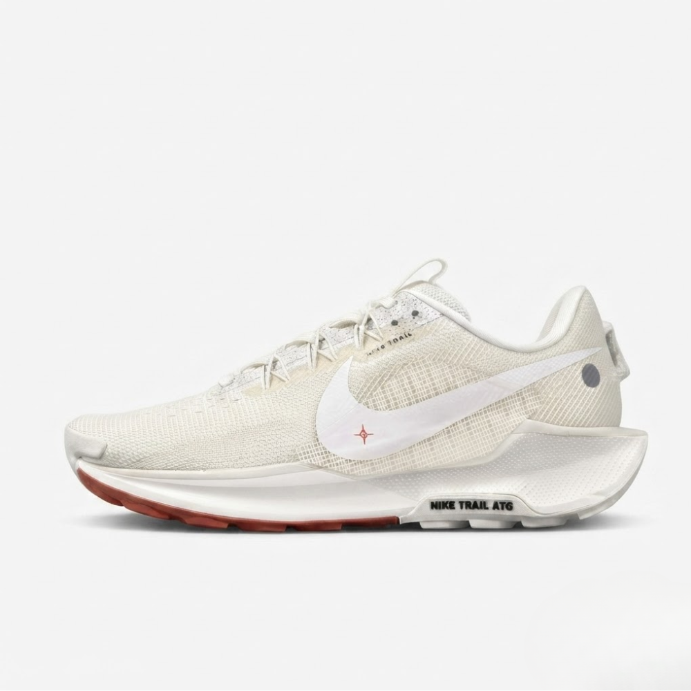 Nike Pegasus Trail 5 Men's Trail Running Shoes