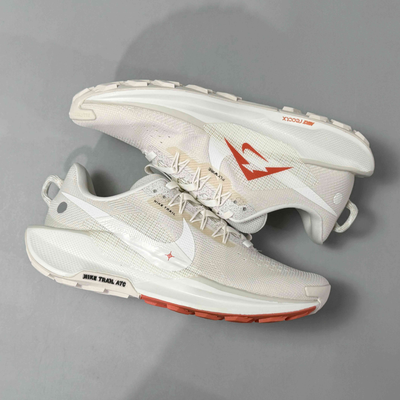 Nike Pegasus Trail 5 Men's Trail Running Shoes