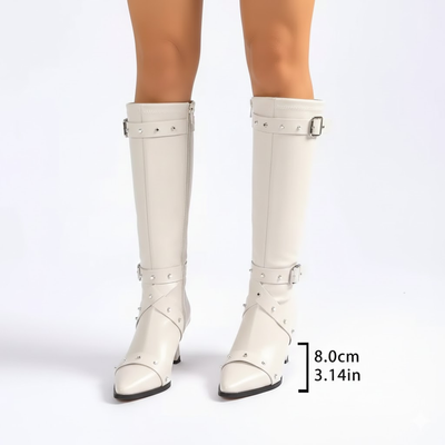 Women's Over the Knee Pointed Toe Boots – Slim Heel Buckle Tall Boots