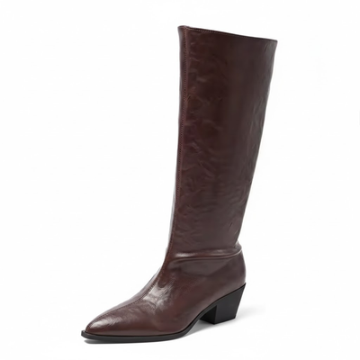 Women's Over the Knee Pointed Toe Boots – Mid Heel Tall Slip-On Boots