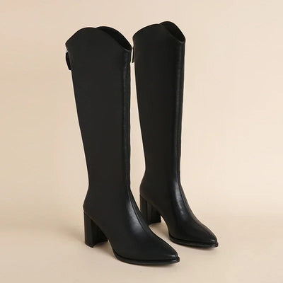 Women’s Knee High Block Heel Boots - Pointed Toe Zip Boots